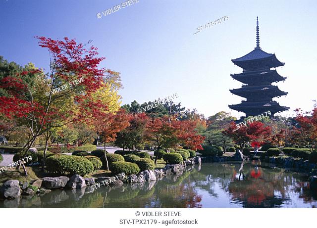 Asia, Autumn, Five, Gokoku, Heritage, Holiday, Honshu, Japan, Kyo, Kyoto, Landmark, Leaves, Pagoda, Storey, Temple, Toji, Touris