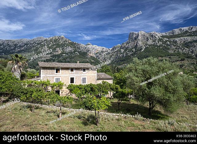 Binibassí, Soller valley route, Mallorca, Balearic Islands, Spain