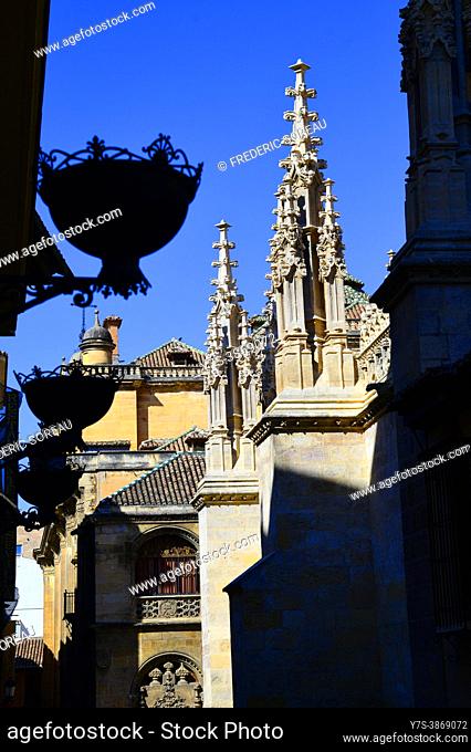 Cathedral of Incarnation in Granada city, Andalusia, Spain