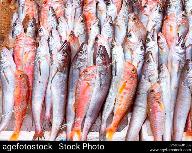 Medterranean fish exposed at open seamarket, Naples