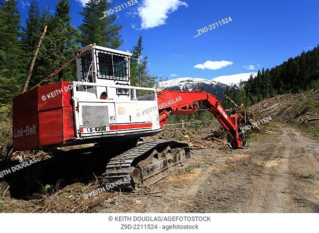 Logging operation on south side of Skeena river, between Terrace and Hazelton, BC