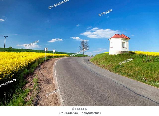 Field of rapeseed, canola or colza, in latin Brassica Napus and small white chapel and road, rape seed is plant for green energy and green industry