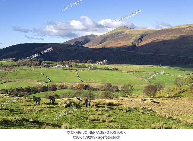 Goosewell Farm viewed from Low Rigg with Latrigg and the Skiddaw range beyond in the English Lake District National Park, Cumbria, England