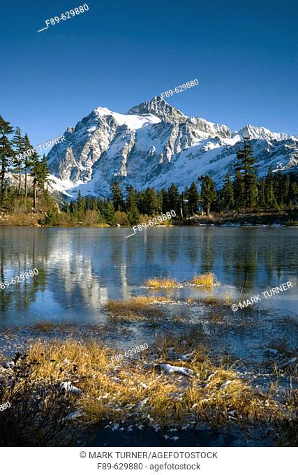 Mt. Shuksan reflected in thin skim of ice on Picture Lake, early winter w/ dry grasses fgnd. Mt. Baker-Snoqualmie NF Heather Meadows, WA