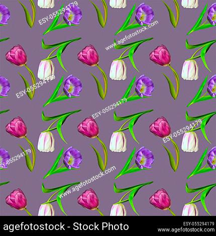 Floral seamless pattern with pink, purple and white tulips on purple background. Spring or summer design. Trandy natural botanical pattern for textile