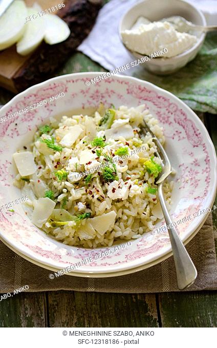 Fennel risotto with ricotta, parmesan and chilli flakes