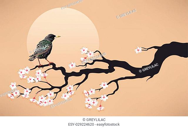 Vector illustration of branch of blooming cherry with starling