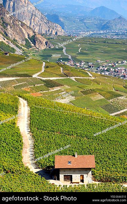Idyllic view for vineyards in Rhone Valley and Saillon village in Bernese Alps, autumn - October, Saillon, Martigny district, canton Valais, Wallis canton