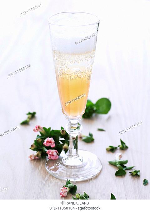 Sparkling wine cocktail