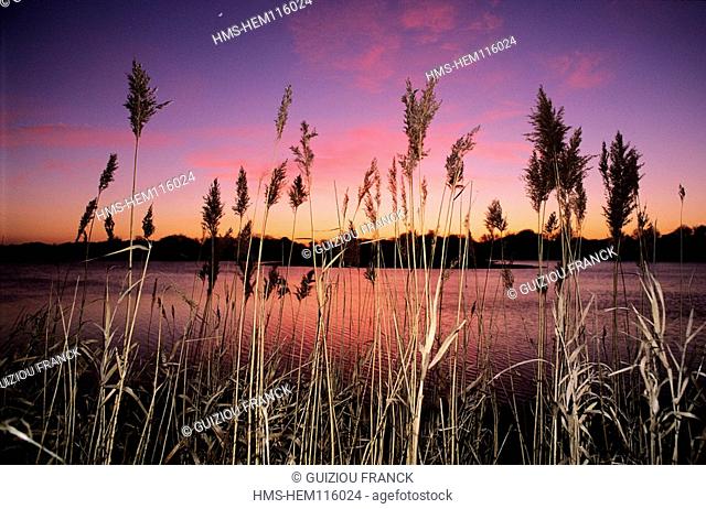 France, Loire Atlantique, Briere Natural Regional Park at sunset