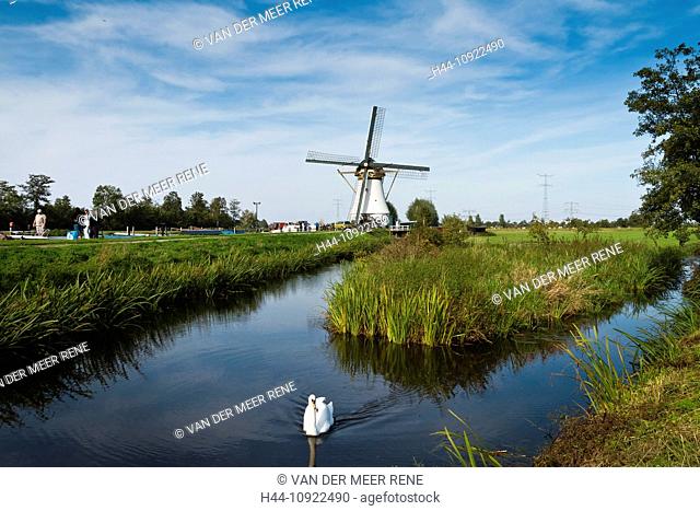 Netherlands, Holland, Europe, Alblasserdam, windmill, field, meadow, water, summer, swan, White stone windmill