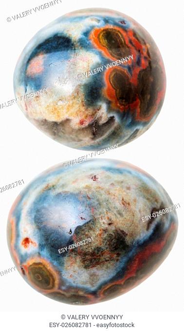 natural mineral gem stone - two Ocean (Orbicular) jasper gemstones isolated on white background close up