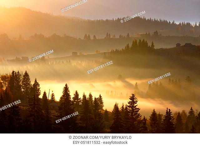 First sunrise rays of sun and shadows through fog and trees on slopes. Morning autumn Carpathian Mountains landscape (Yablunytsia village and pass