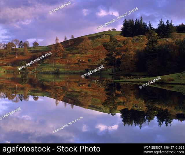 Tarn Hows Reflections, Lake District National Park, Cumbria