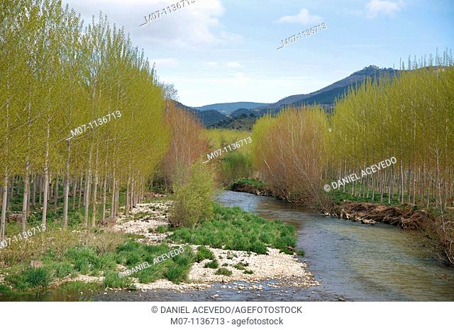 Colorful riverbank forest by Murrieta village, Ega Valley, Navarra, Spain