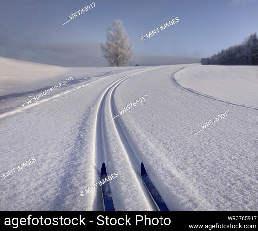 Snowy, hilly cross-country ski track with skiis in Estonia, s-shaped trail in winter