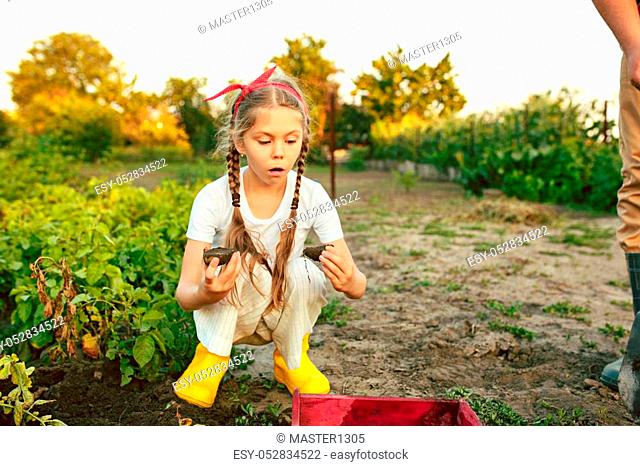 The teen children girl on the harvest of potatoes. Family, lifestyle, harvest concept. small baby. Green plants background