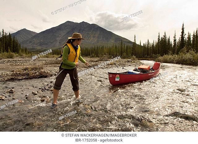 Young woman lining, wading, pushing, pulling a canoe in shallow water, Wind River, Mackenzie Mountains behind, Yukon Territory, Canada