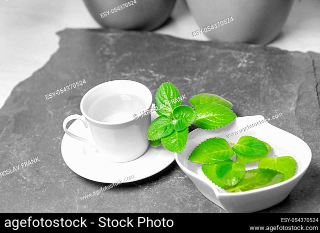 Cup of Silver Spurflower tea and leaves in a white bowl on stone slate plate. Color Splash Effect Photo