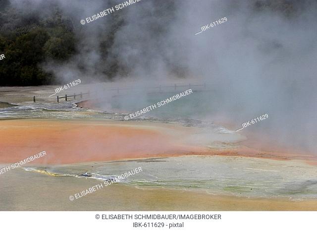 Champagne Pool in the geothermal region near Rotorua, North Island, New Zealand, Oceania