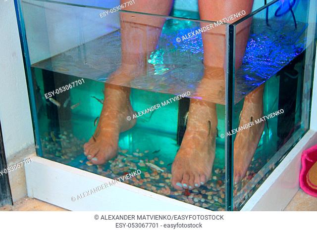 Young woman receiving massage with small fishes. Peeling with fish. Girl enjoying medicinal procedure. Foot massage with fish in aquarium closeup