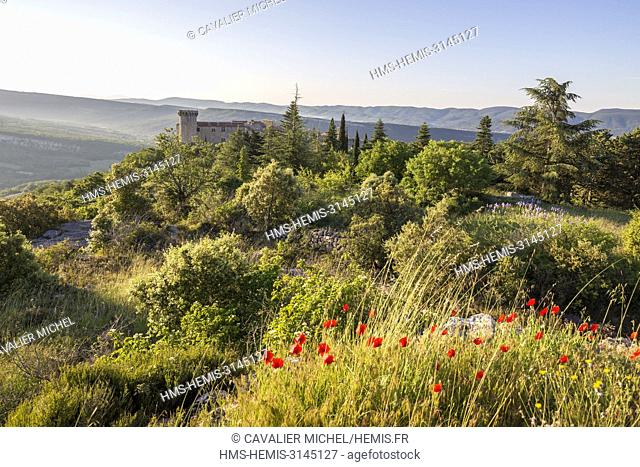 France, Vaucluse, regional natural reserve of Luberon, Viens, the village, the castle and the tower of Pousterle built in the XVIth century