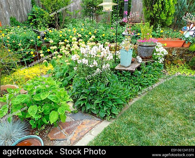 plants with green leaves and flowers and grass in a backyard