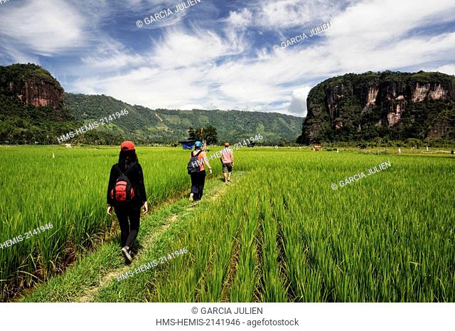 Indonesia, West Sumatra, Minangkabau Highlands, Bukittinggi area, Harau valley, group of hikers in the rice fields surrounded by cliffs in Harau valley