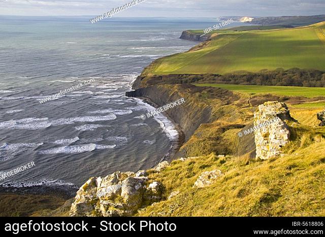 View of coastline with farmland and rough sea from high cliff, near Chapmans Pool, Dorset, England, United Kingdom, Europe