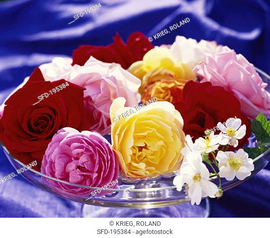 Arrangement of roses in a glass bowl