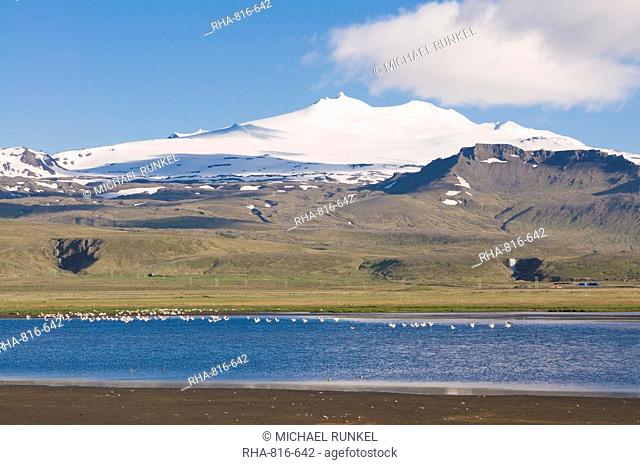 Mountain landscape with body of water and flock of birds, Snaefellsjokull National Park, Iceland, Polar Regions