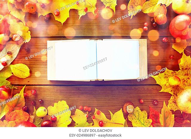 nature, season, inspiration and memories concept - close up of empty book or album in frame of autumn leaves, fruits and berries on wooden table