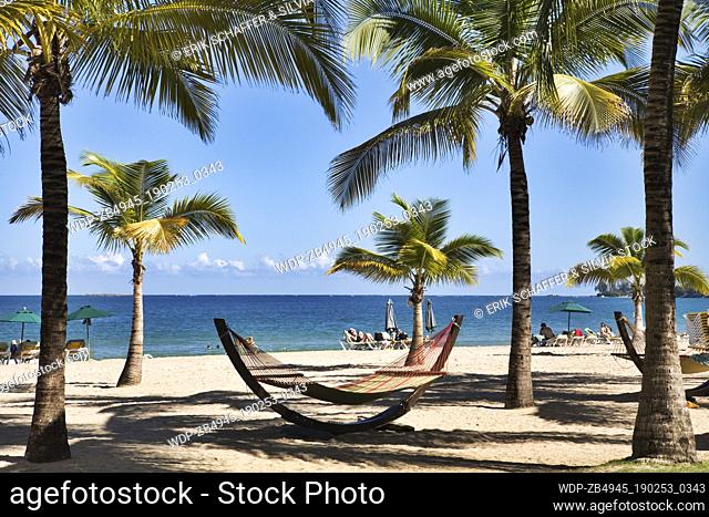 View of Isla Verde Beach from the Courtyard by Marriott Isla Verde Beach Resort hotel, with palm trees and hammock