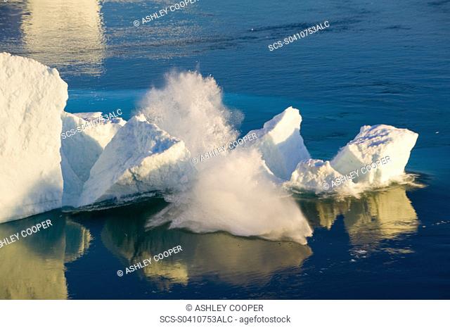 An arched Iceberg collapsing into the sea from the Jacobshavn glacier or Sermeq Kujalleq which drains 7 of the Greenland ice sheet and is the largest glacier...