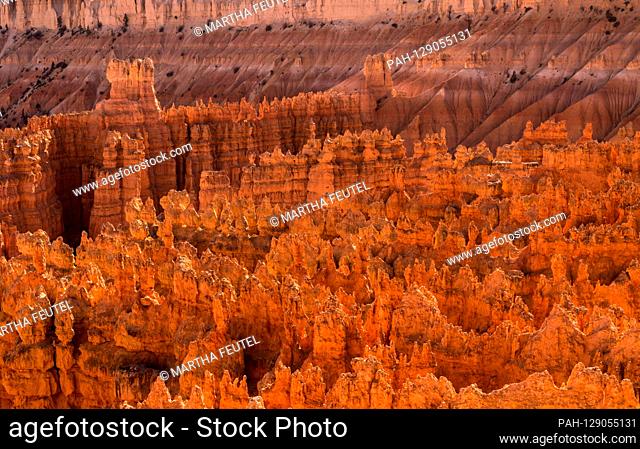 USA, Utah, Vereinigte Staaten, Bryce Canyon, Herbst, Landschaft mit einzigartigen Felsen | usage worldwide. - Bryce Canyon/Utah/United States of America