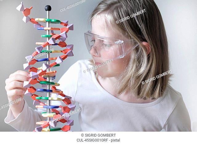 Girl examining molecular model