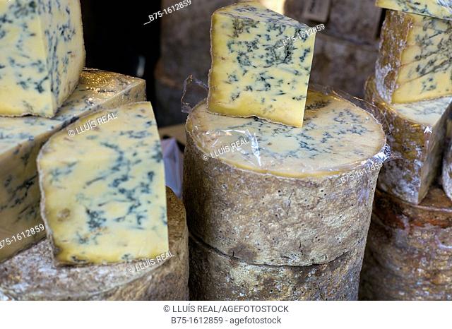 Stilton, cheese in a cheeseshop, England