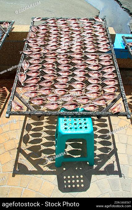 Fish dry under the Sun on the stall. Thailand