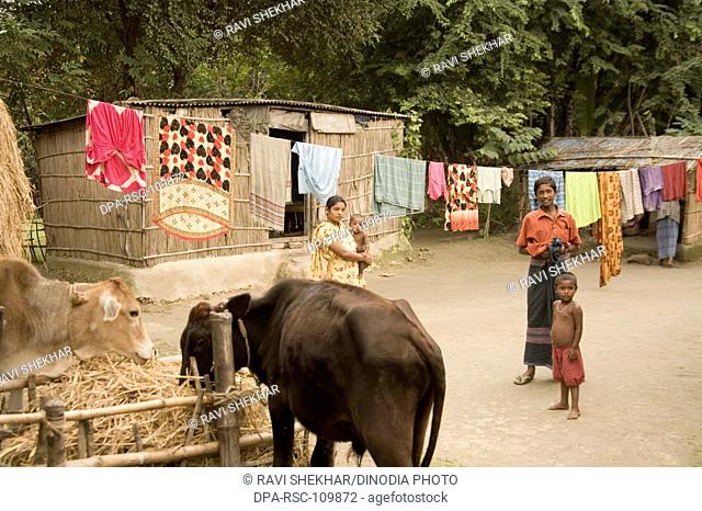 Rural life ; village Manik gunj ; Rural Bangladesh