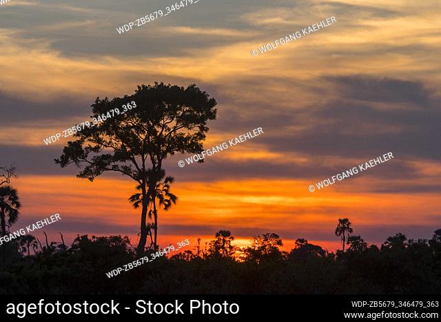 Sunset over the Gomoti Plains area, a community run concession, on the edge of the Gomoti river system southeast of the Okavango Delta, Botswana