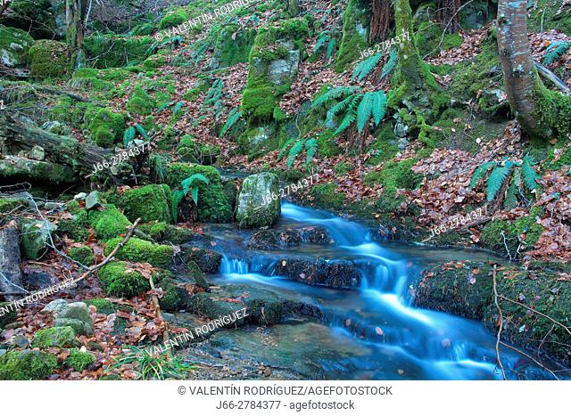 Stream on the path of the hermitage Virgen Lomos de Orios to the waterfalls of Puente Ra. Natural park Sierra Cebollera. La Rioja