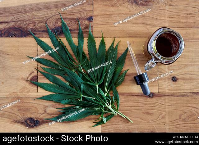 Cannabis leaves and homemade CBD oil