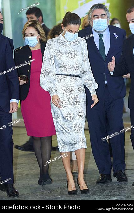Queen Letizia of Spain attends the Opening of the Tourism Innovation Summit (TIS 2020) at FIBES on November 25, 2020 in Sevilla, Spain