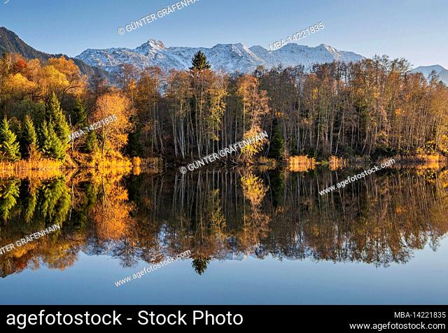 Autumn landscape with a small pond in the Murnauer Moos against Hohe Kisten 1922m in the Estergebirge, Murnau, Das Blaue Land, Upper Bavaria, Bavaria, Germany