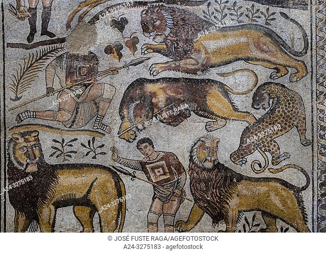 Algeria, Djemila City, Roman ruins of Djemila City, UNESCO, W. H. Djemilla Archeological Museum, Roman Mosaics