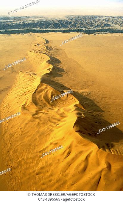 Namibia - The green belt of the dry Kuiseb riverbed in the background is forming the northern boundary of the expanse of dunes of the southern Namib Desert...