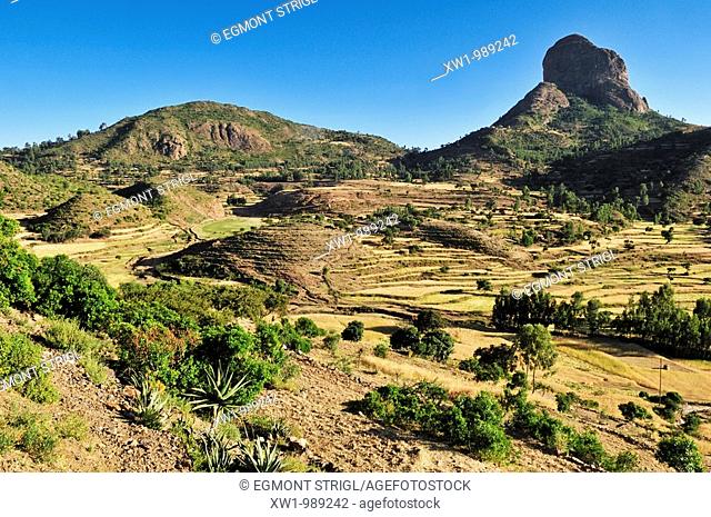 terraced fields in the Adua, Adwa Mountains in Tigray, Ethiopia, Africa