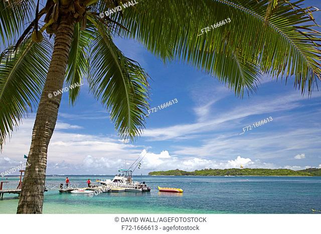 Palm tree and boats, Shangri-La Fijian Resort, Yanuca Island, Coral Coast, Viti Levu, Fiji, South Pacific