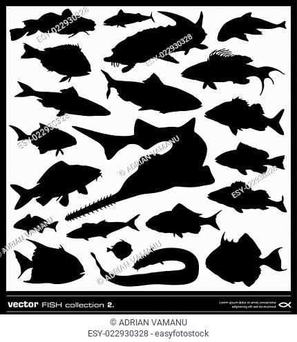 Set of fish silhouettes. Vector