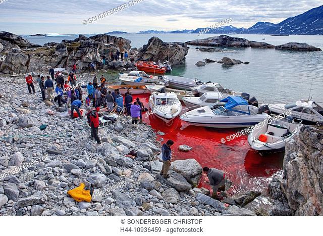 Inuit, whaling, Sermiligaaq, Greenland, East Greenland, ship, boat, ships, boats, blood, Sermiligaaq
